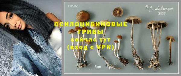 марки nbome Верея