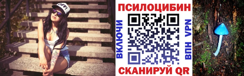 Купить закладки  Гатчина  Галлюциногенные грибы GOLDEN TEACHER 