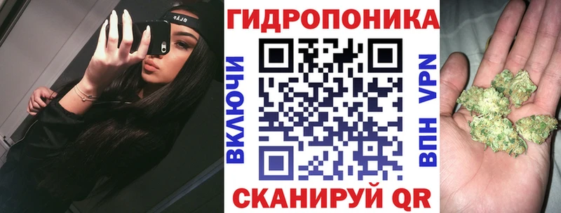 Бошки Шишки SATIVA & INDICA  Купить где  Гатчина 